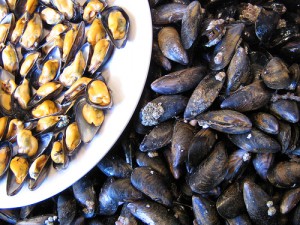 Une assiette de moule préparé sur un tas de moules non ouverte.